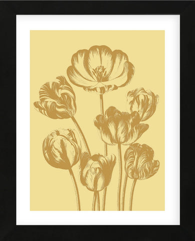 Tulip 19 (Framed) -  Botanical Series - McGaw Graphics