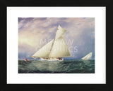 Yacht Race in New York Harbor (Framed) -  James E. Buttersworth - McGaw Graphics