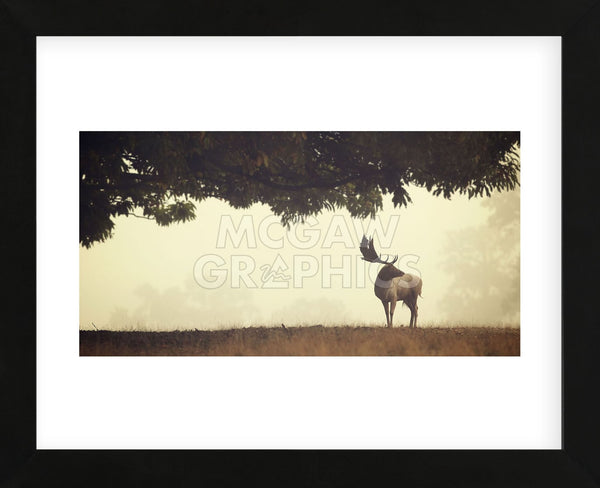 Look Back (Framed) | McGaw Graphics
