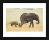 Wait for Me! (Framed) -  Mark Bridger - McGaw Graphics