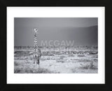 Big Boy (Framed) -  Mark Bridger - McGaw Graphics