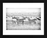 Stripes (Framed) -  Mark Bridger - McGaw Graphics