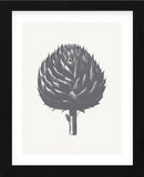 Artichoke (Ivory & Gray) (Framed) -  Botanical Series - McGaw Graphics