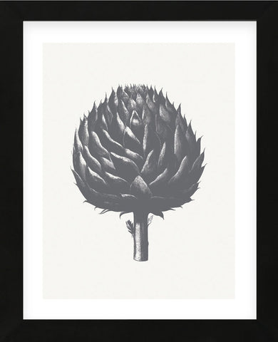 Artichoke (Ivory & Gray) (Framed) -  Botanical Series - McGaw Graphics