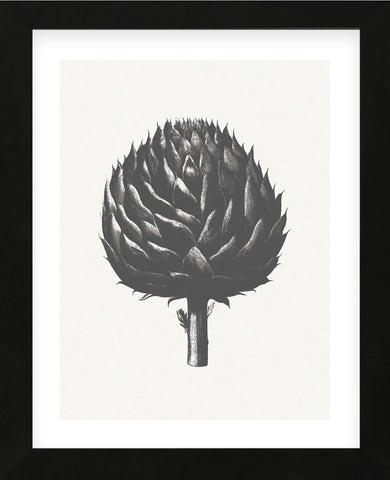 Artichoke (Ivory & Ink ) (Framed) -  Botanical Series - McGaw Graphics