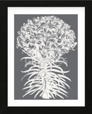 Lilies (Gray & Ivory) (Framed) -  Botanical Series - McGaw Graphics