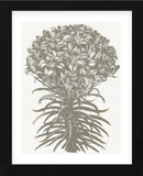 Lilies (Ivory & Burlap) (Framed) -  Botanical Series - McGaw Graphics