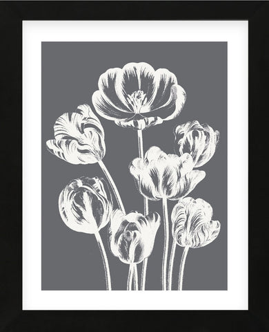 Tulips (Gray & Ivory) (Framed) -  Botanical Series - McGaw Graphics