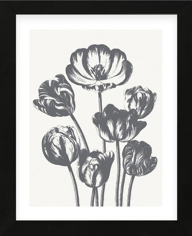 Tulips (Ivory & Gray) (Framed) -  Botanical Series - McGaw Graphics