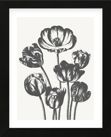 Tulips (Ivory & Ink) (Framed) -  Botanical Series - McGaw Graphics