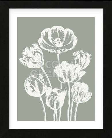 Tulips (Sage & Ivory) (Framed) -  Botanical Series - McGaw Graphics