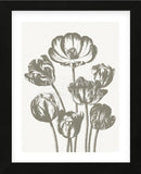 Tulips (Ivory & Burlap) (Framed) -  Botanical Series - McGaw Graphics