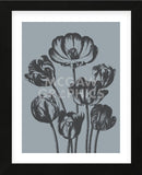 Tulips (Slate & Ink) (Framed) -  Botanical Series - McGaw Graphics