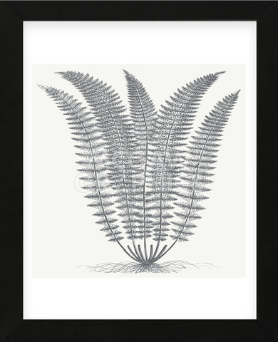 Fern (Ivory & Gray) (Framed) -  Botanical Series - McGaw Graphics