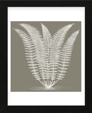 Fern (Burlap & Ivory) (Framed) -  Botanical Series - McGaw Graphics