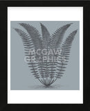 Fern (Slate & Ink) (Framed) -  Botanical Series - McGaw Graphics