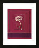 Delhi Daisy  (Framed) -  Gaelle Cicarda - McGaw Graphics