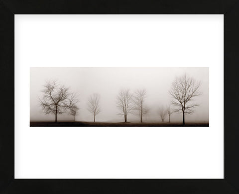 Misty Meadow  (Framed) -  Erin Clark - McGaw Graphics
