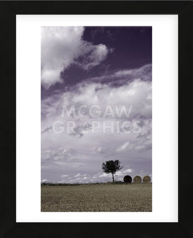 The Harvest  (Framed) -  Gill Copeland - McGaw Graphics