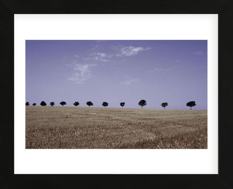 Season's Yield  (Framed) -  Gill Copeland - McGaw Graphics