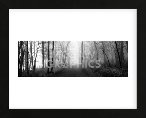 Woodland Walk  (Framed) -  Erin Clark - McGaw Graphics