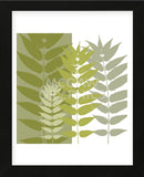 Garden Greens   (Framed) -  Erin Clark - McGaw Graphics