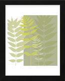 Field Greens   (Framed) -  Erin Clark - McGaw Graphics