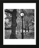 A Light in Central Park  (Framed) -  Erin Clark - McGaw Graphics