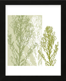 Gossamer Greens  (Framed) -  Erin Clark - McGaw Graphics