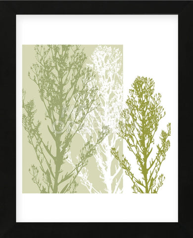 Gossamer Greens  (Framed) -  Erin Clark - McGaw Graphics