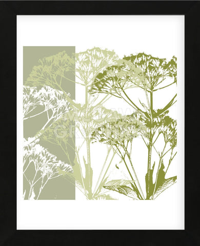 Delicate Greens  (Framed) -  Erin Clark - McGaw Graphics