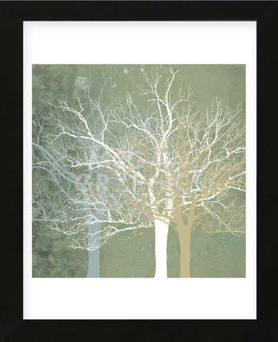 Quiet Forest  (Framed) -  Erin Clark - McGaw Graphics