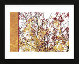 Painted Branches  (Framed) -  Erin Clark - McGaw Graphics