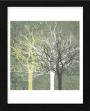 Silent Forest  (Framed) -  Erin Clark - McGaw Graphics