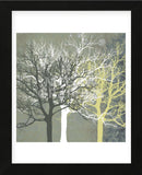 Tranquil Forest  (Framed) -  Erin Clark - McGaw Graphics