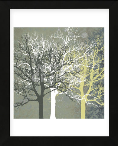 Tranquil Forest  (Framed) -  Erin Clark - McGaw Graphics