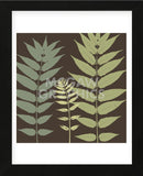 Field Botanical  (Framed) -  Erin Clark - McGaw Graphics