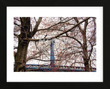 Red Blooms in Brooklyn  (Framed) -  Erin Clark - McGaw Graphics