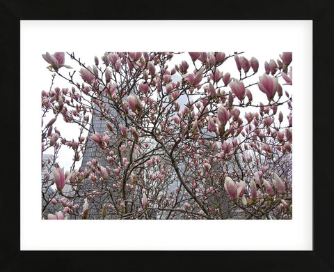 Springtime in New York  (Framed) -  Erin Clark - McGaw Graphics