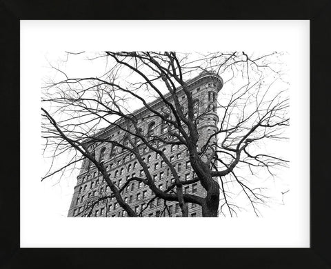 Flatiron with Tree (b/w)  (Framed) -  Erin Clark - McGaw Graphics