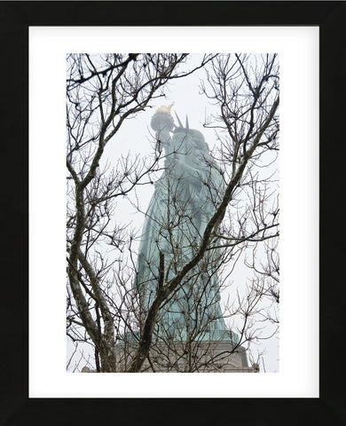 Lady Liberty  (Framed) -  Erin Clark - McGaw Graphics