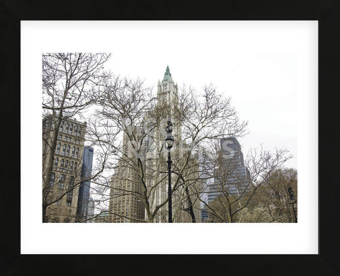 Woolworth Building from City Hall Park  (Framed) -  Erin Clark - McGaw Graphics