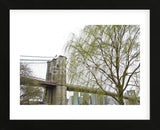 Brooklyn Bridge and Willow  (Framed) -  Erin Clark - McGaw Graphics