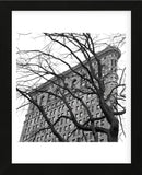 Flatiron with Tree (b/w) (detail)  (Framed) -  Erin Clark - McGaw Graphics