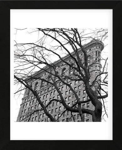 Flatiron with Tree (b/w) (detail)  (Framed) -  Erin Clark - McGaw Graphics