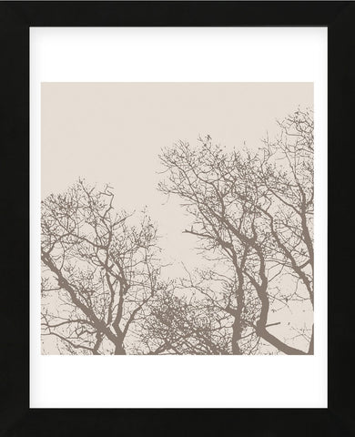 Majesty I (beige)  (Framed) -  Erin Clark - McGaw Graphics