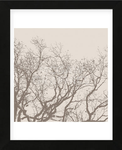 Majesty II  (beige)  (Framed) -  Erin Clark - McGaw Graphics