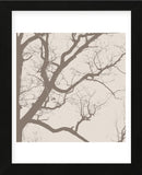 Majesty IV  (beige)  (Framed) -  Erin Clark - McGaw Graphics