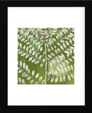 Forest Leaves (Framed) -  Erin Clark - McGaw Graphics