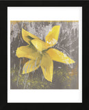 Tulip Fresco (yellow) (Framed) -  Erin Clark - McGaw Graphics